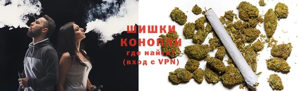 ГАЛЛЮЦИНОГЕННЫЕ ГРИБЫ Богородицк