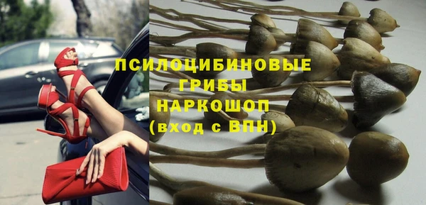 ГАЛЛЮЦИНОГЕННЫЕ ГРИБЫ Богородицк