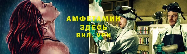 ГАЛЛЮЦИНОГЕННЫЕ ГРИБЫ Богородицк