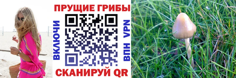 Псилоцибиновые грибы ЛСД  Кемь 